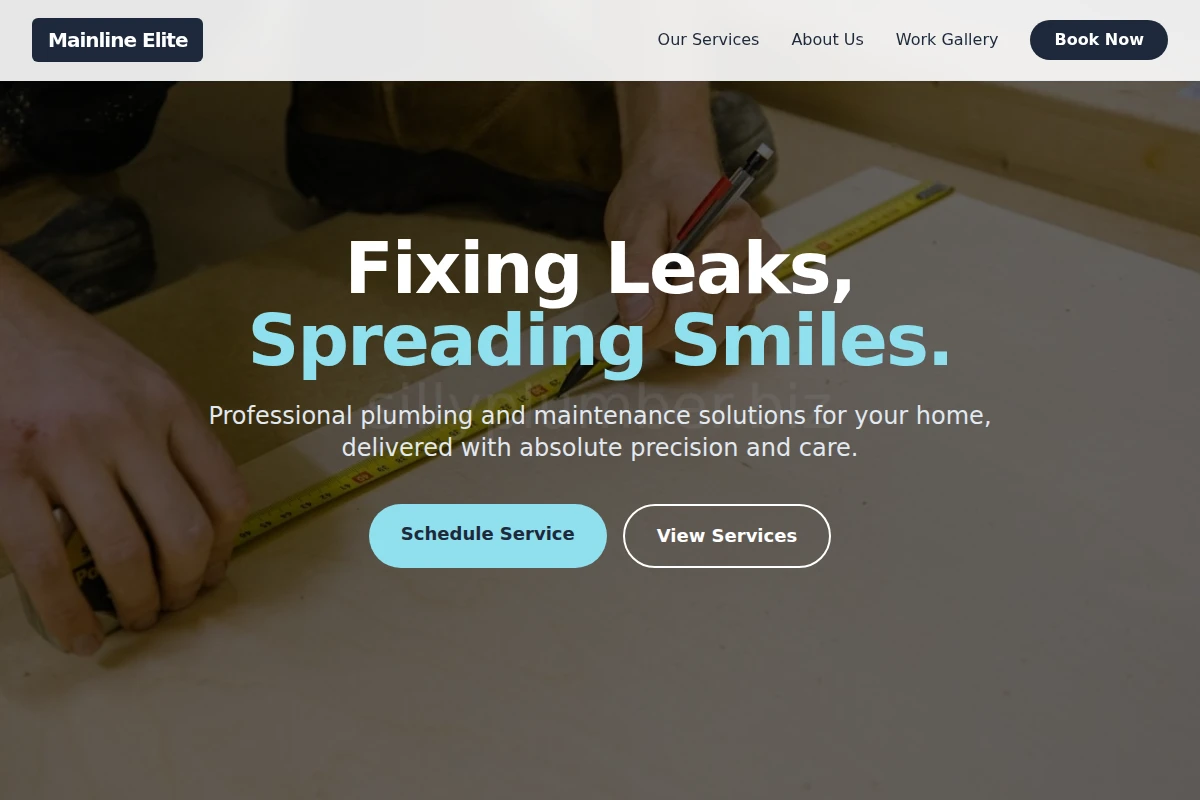 Silly.Plumber